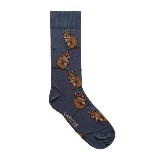 LAFITTE QUOKKA SOCKS